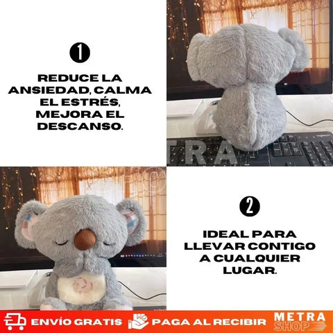 Producto