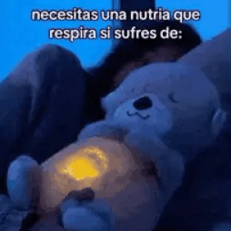 Nutria Peluche Anti-Estrés
