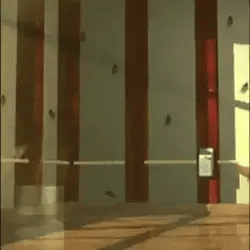 Repelente Ultrasónico Para Roedores Y Plagas